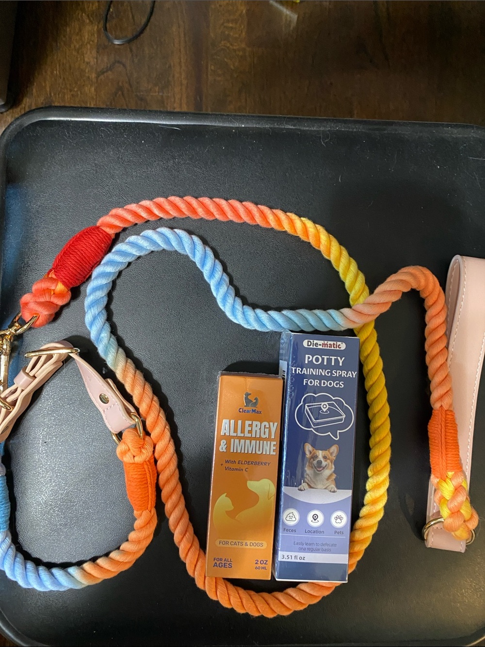 Rainbow Gradient Dog Leash with Pink Handle